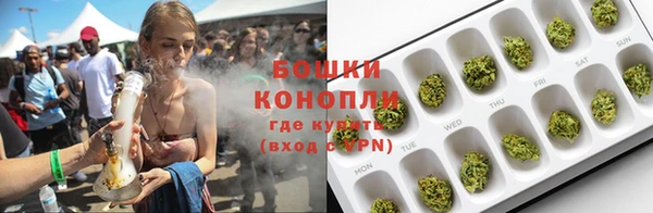ПСИЛОЦИБИНОВЫЕ ГРИБЫ Алагир