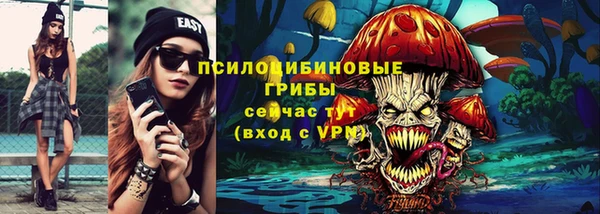 мяу мяу мука Магас