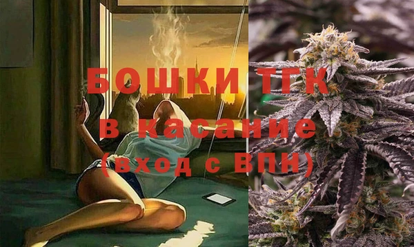 трава Вязьма