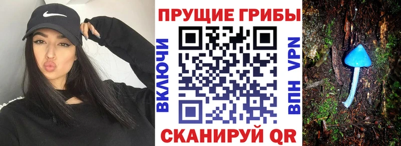 дарк нет состав  ссылка на мегу сайт  Жуков  Галлюциногенные грибы мицелий 